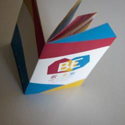 Be Conference Promotional Pamphlet