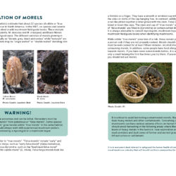 ITI Morel Mushroom: A Harvester's Guides Letter Size (Inside Pages)