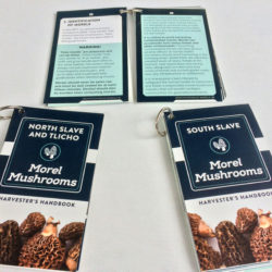 ITI Morel Mushroom: A Harvester's Guides Portable Size 2