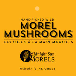 Midnight Sun Morels Identity and Packaging Design