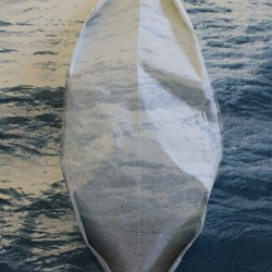 Water Boat, 2011 | Taryn Kneteman